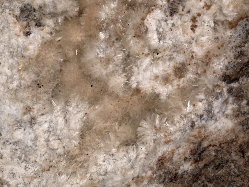 Ferrierite-NH4